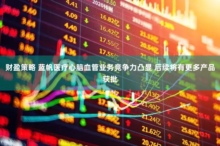 财盈策略 蓝帆医疗心脑血管业务竞争力凸显 后续将有更多产品获批