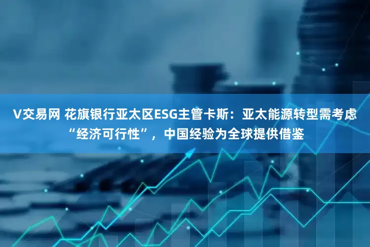 V交易网 花旗银行亚太区ESG主管卡斯：亚太能源转型需考虑“经济可行性”，中国经验为全球提供借鉴
