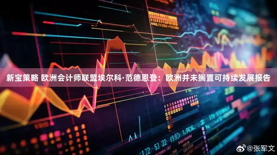 新宝策略 欧洲会计师联盟埃尔科·范德恩登：欧洲并未搁置可持续发展报告
